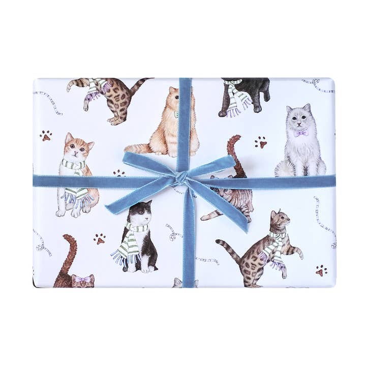 Papel de Embrulho de Gatos por atacado de Lottie Murphy