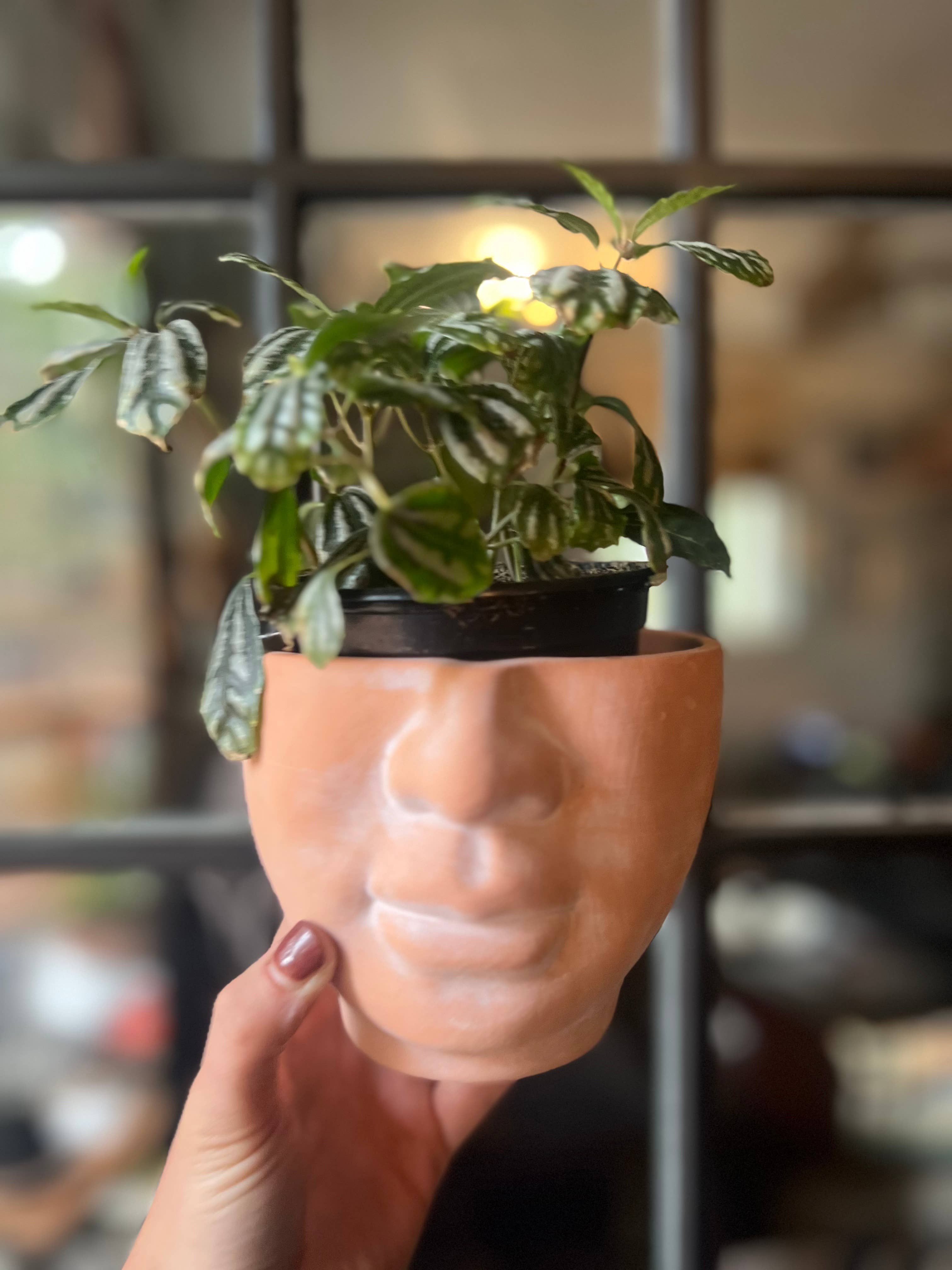 Simply Supplied Co - Wholesale Plant Pot - Face Planter | Terracotta Pot | Unique Planter | Head Pot11