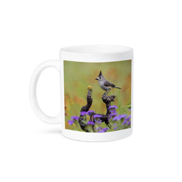 3dRose - Wholesale Coffee Mug - 3dRose, Black-crested Titmouse, Baeolophus atricristatus, perched., Mug8