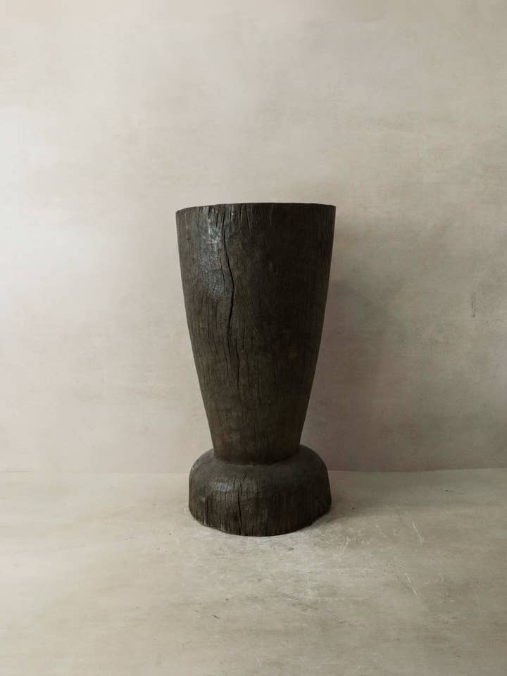 Afrikansk kornstomper - 155,6 for engroshandel hos Botanical Boys