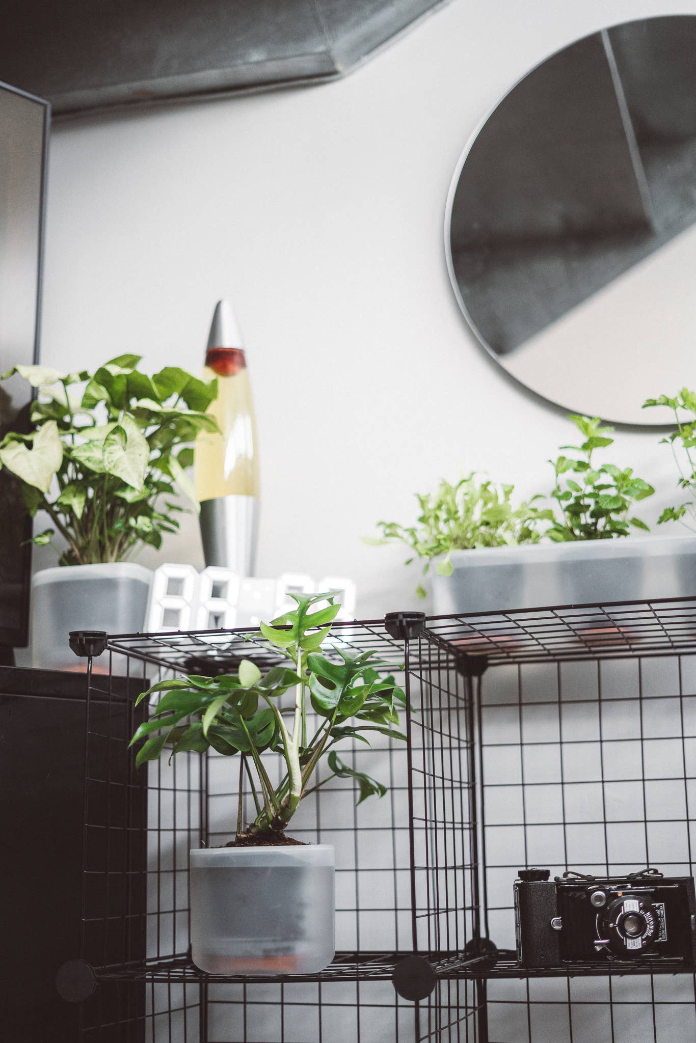 Boskke - Vente Pot - Till Planter - Triple - pot de fleurs auto-arrosage7