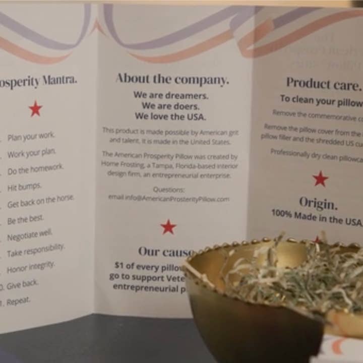 American Prosperity Pillow - America 250 licensee - Wholesale Throw/Decorative Pillow - America250 licensed -American Prosperity Freedom PillowTM7