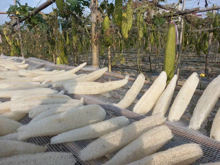 Tonkin Handicraft - Wholesale Loofah - Organic Loofah Exfoliating Pads9