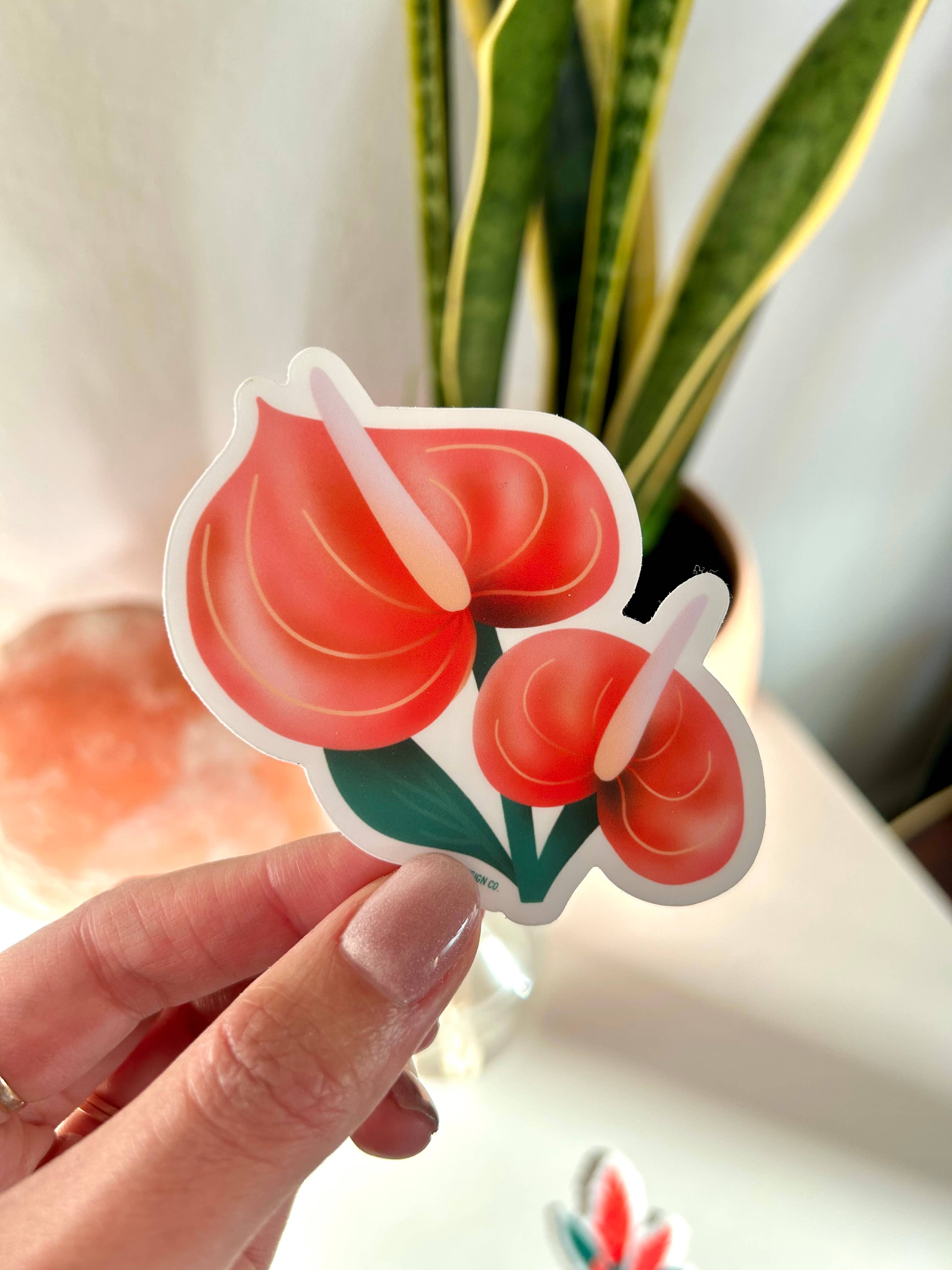 Hay Design Co. - Wholesale Sticker - Anthurium Clear Sticker3