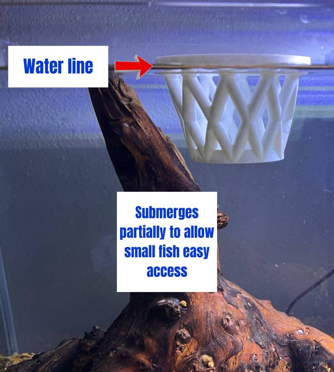 Chatelet - Wholesale Pet Bowl - Cat/Dog - Chatelet Aquarium Fish Feeding Cage | Small Fish Feed Cage | Floats at Surface & Keeps Larger Fish Out | Made in USA18