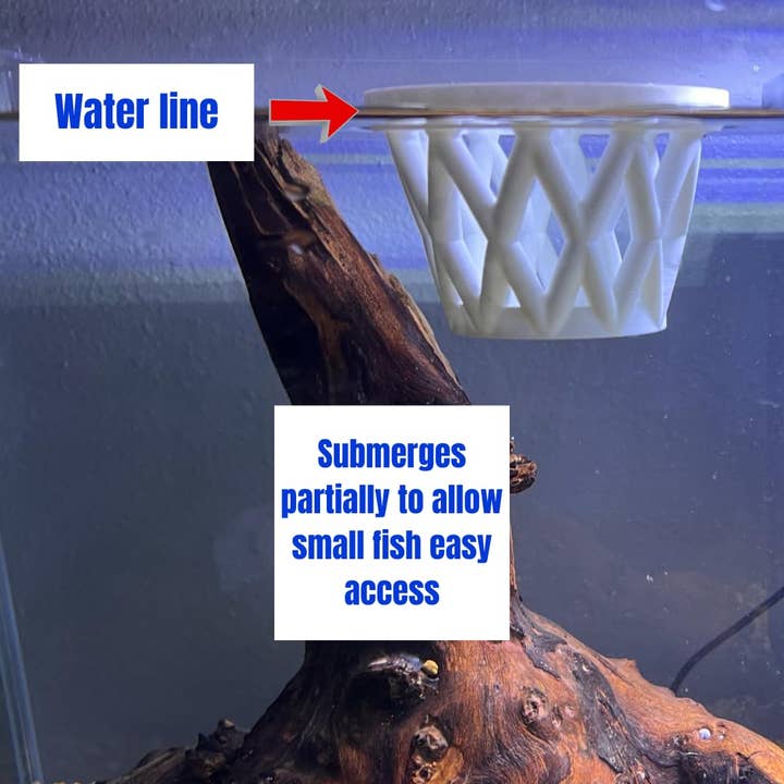 Chatelet - Wholesale Pet Bowl - Cat/Dog - Chatelet Aquarium Fish Feeding Cage | Small Fish Feed Cage | Floats at Surface & Keeps Larger Fish Out | Made in USA18