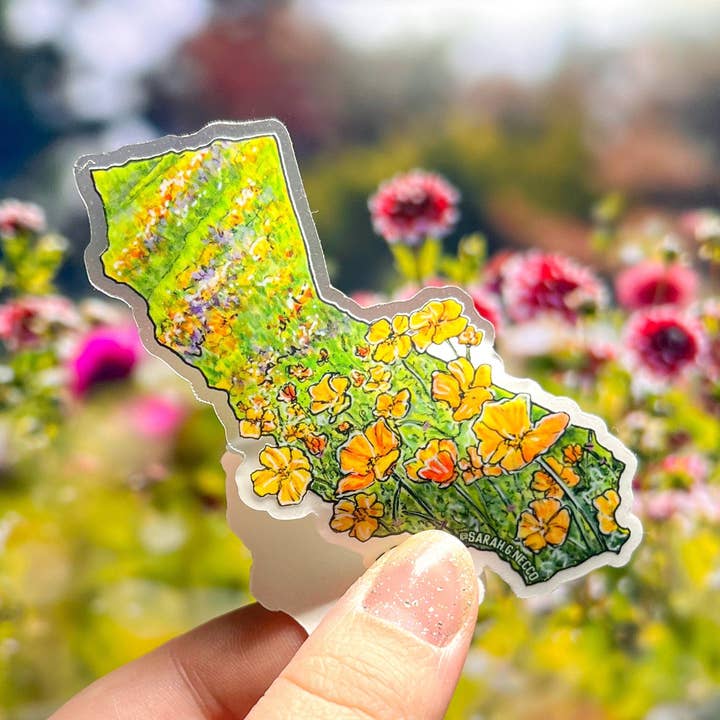 BarnHouse Studios - Wholesale Sticker - California State Flower Superbloom, 3" Clear Vinyl Sticker1
