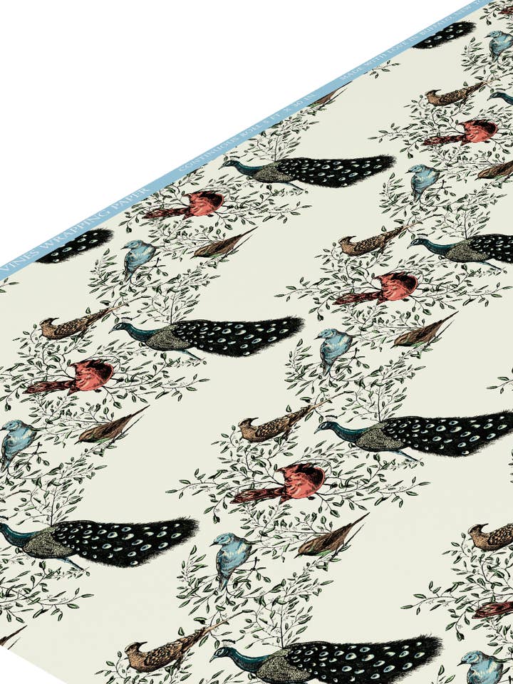 Carta da regalo Vines & Bird FOGLI SINGOLI per la vendita all'ingrosso da parte di Rust Belt Love Paperie