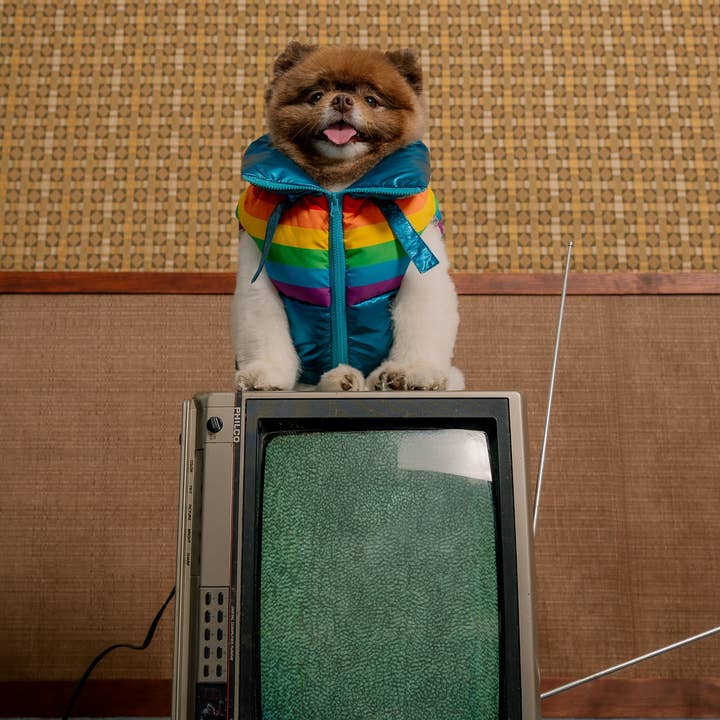 maxbone - Wholesale Pet Vest - Dog - Stranger Things x maxbone WSQK Puffer Vest5