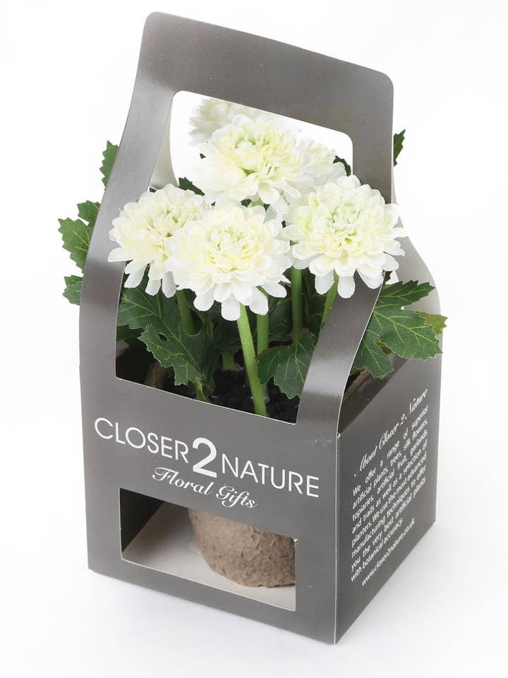 Artificial 18cm White Chrysanthemum Plant with Gift Box for wholesale by Closer2Nature