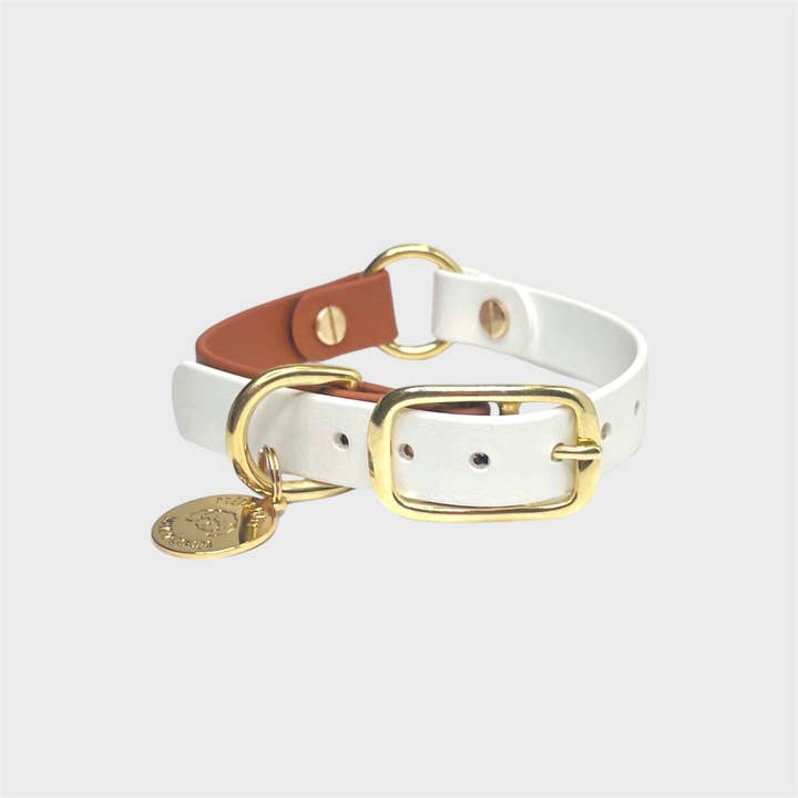 PRÊT-À-PUPPY - Wholesale Pet Collar - Dog - Original Collar - Design your Own