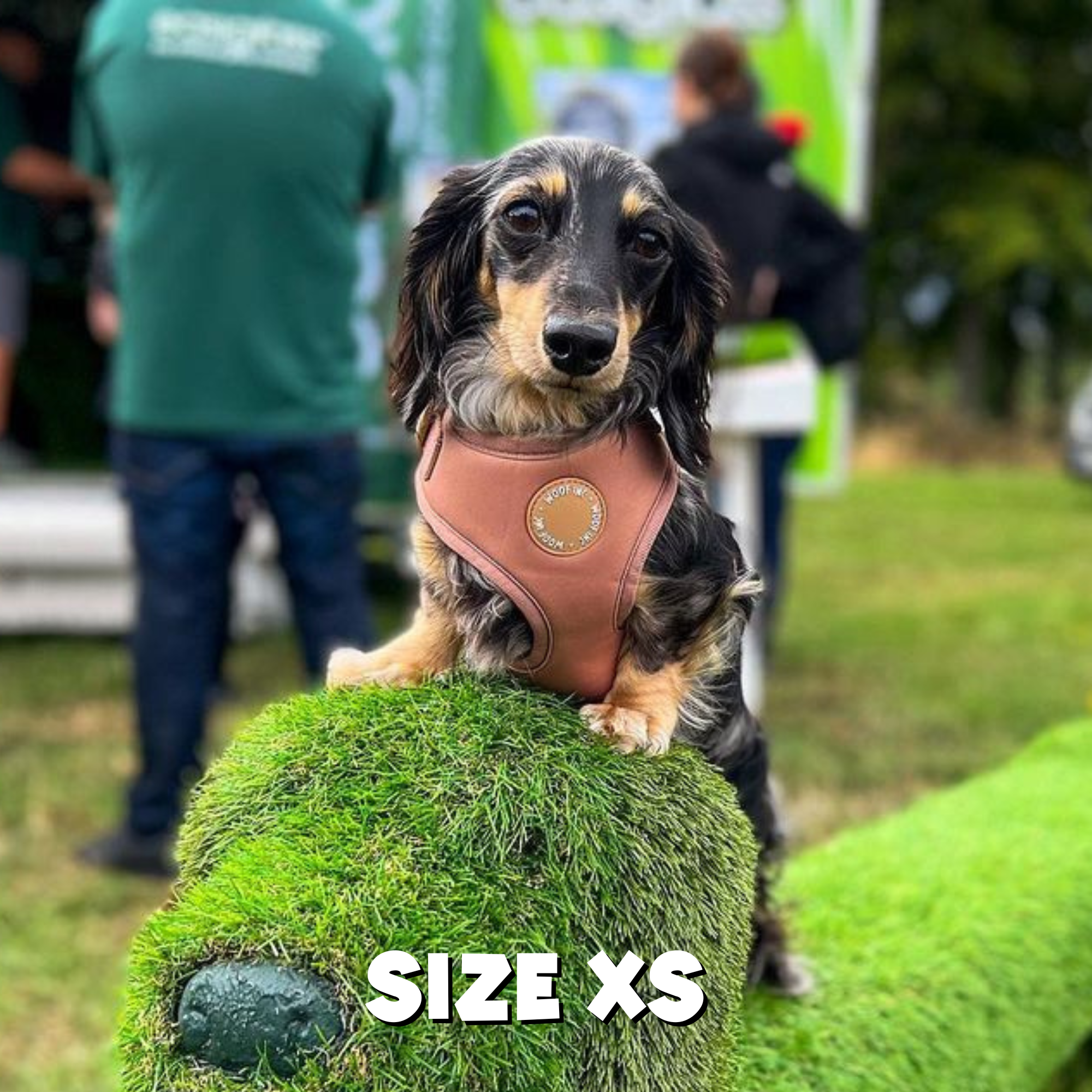 WOOF INC - Wholesale Pet Harness - Dog - Caramel Adjustable Dog Harness6