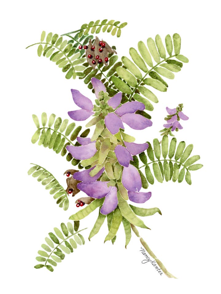 "Choosing Beggar" Watercolor Floral Giclée Print for wholesale by Beauty Is Inside