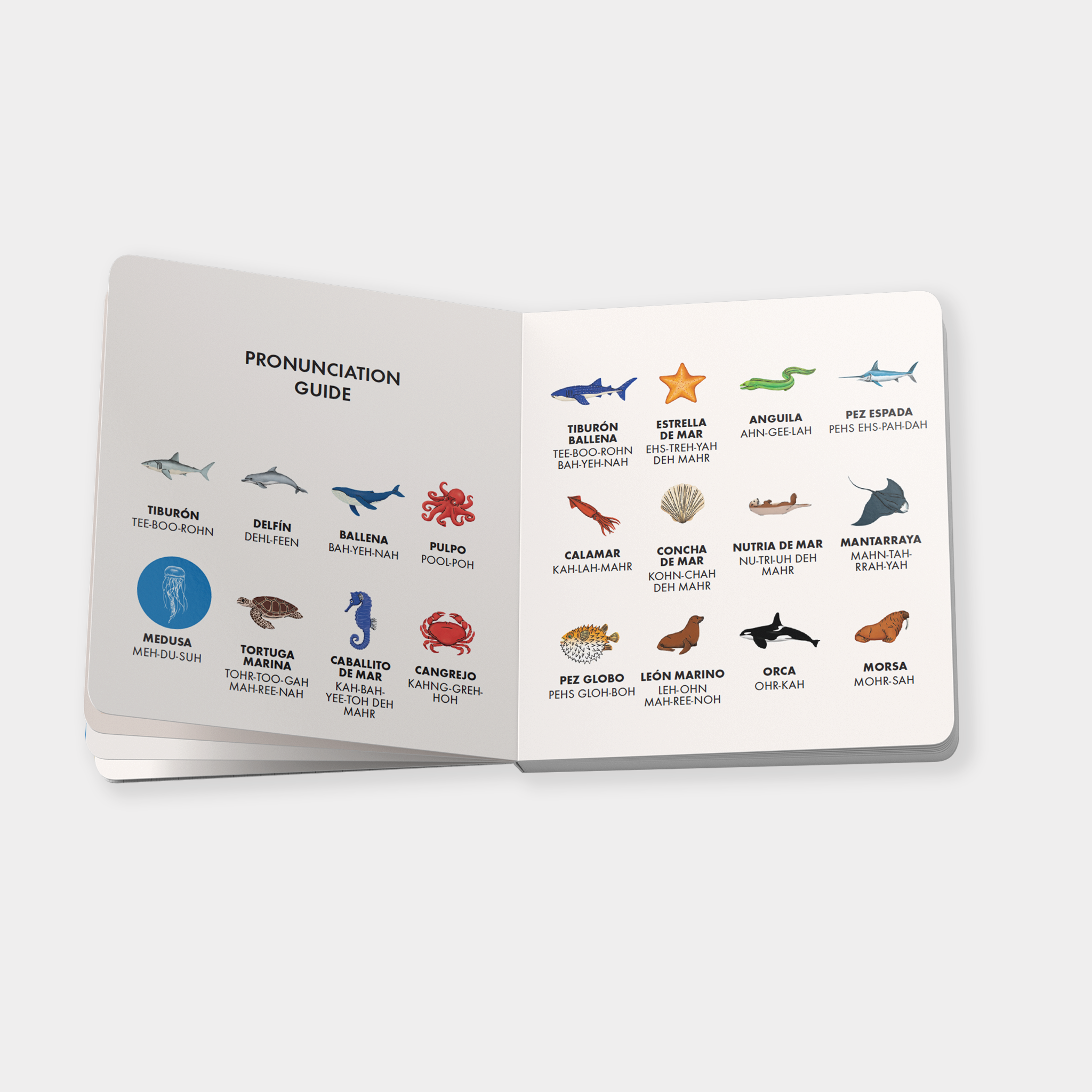 Blue Star Fiesta - Vendita all'ingrosso Libro per l'infanzia (3-5) - La mia prima biblioteca bilingue: un set di libri da tavolo spagnolo-inglese5