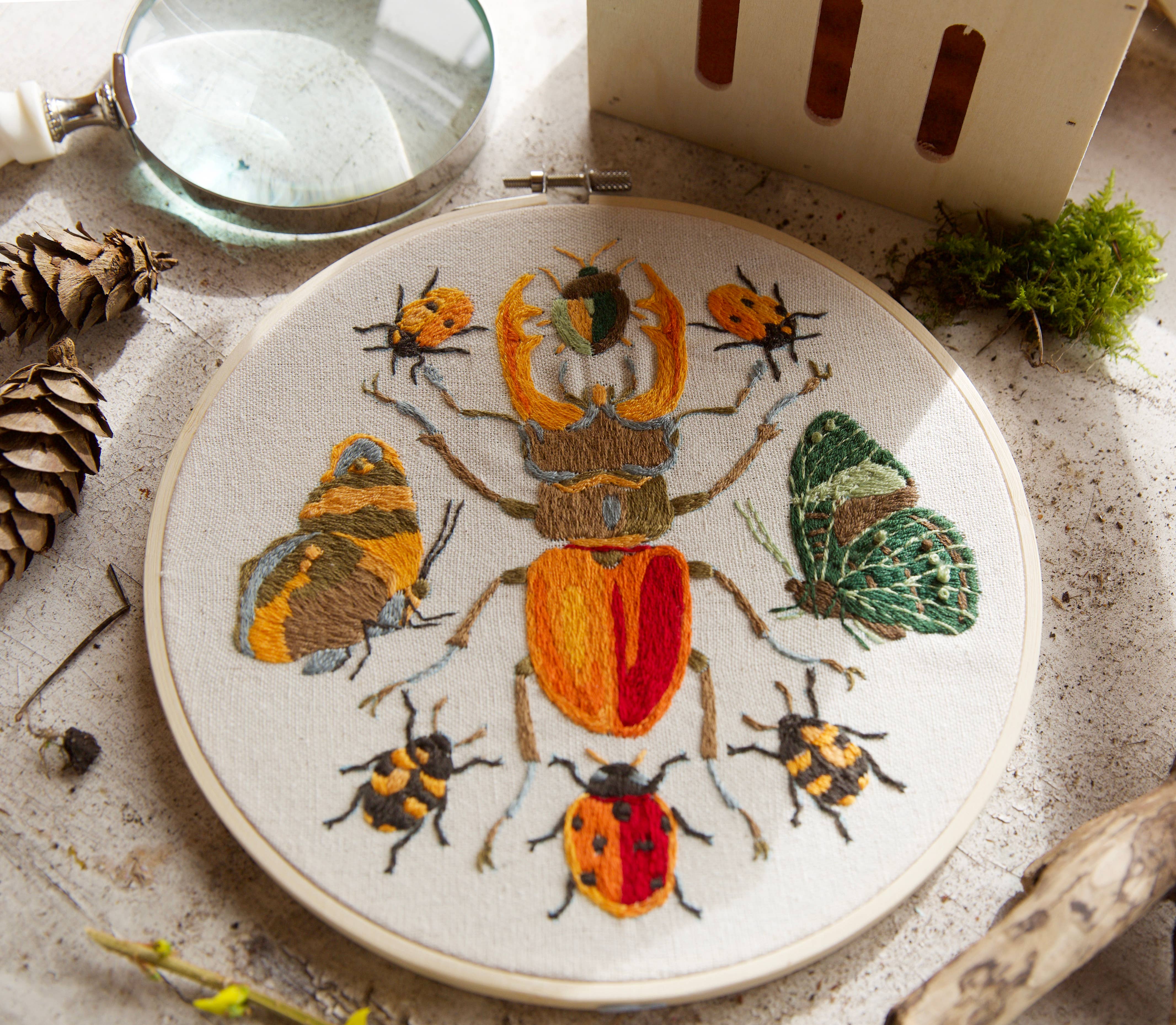 West Design Products - Wholesale Borduurbenodigdheden - Natuurhistorisch Museum Borduurraam Kit, Insecten 8"8