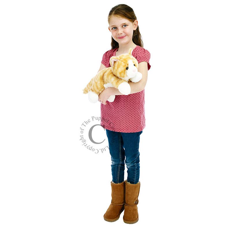 The Puppet Company (US) - Wholesale Puppet - Kids & Baby - Full-Bodied Animal Hand Puppets - Cat (Ginger)1