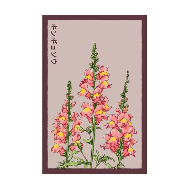 Chive Canada - Wholesale Plant Seeds - Shido Snapdragon Flower Seeds Packet - Plant Themed Gifts