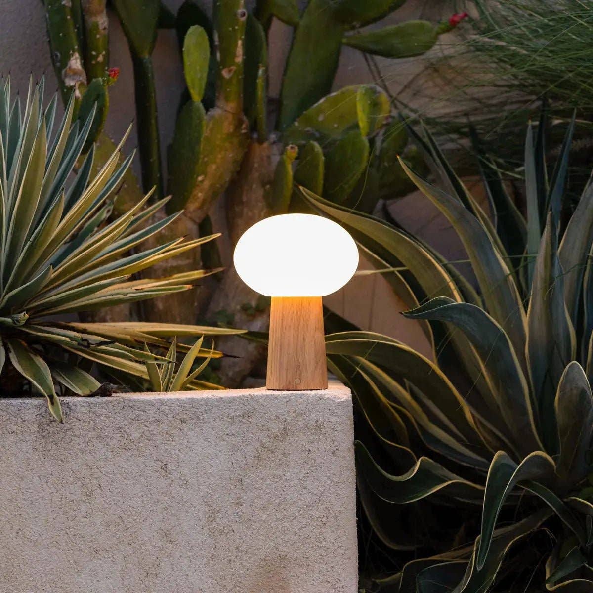 Tavellio – wholesale Accent-/skrivbordslampa – Max Ljusbrun Trådlös Bordslampa i Trä | Uppladdningsbar, Glas & Hållbar Design1