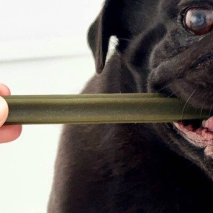 Spinach & Cranberry Chew Stick Vegetable Chew For Dogs for wholesale by The Pets Larder