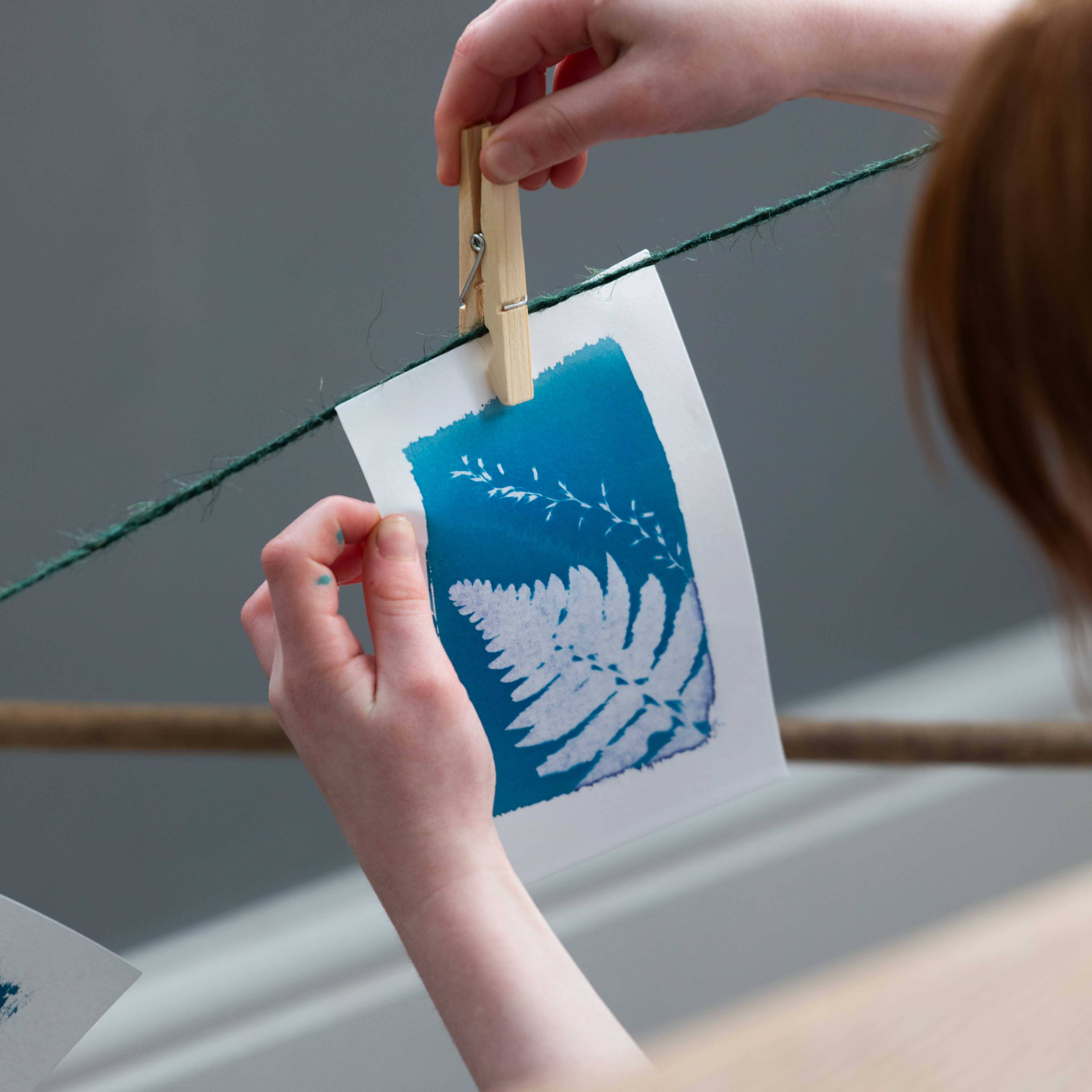 The Wild Darkroom – wholesale DIY craft kit – Cyanotype Printing Paper - A65