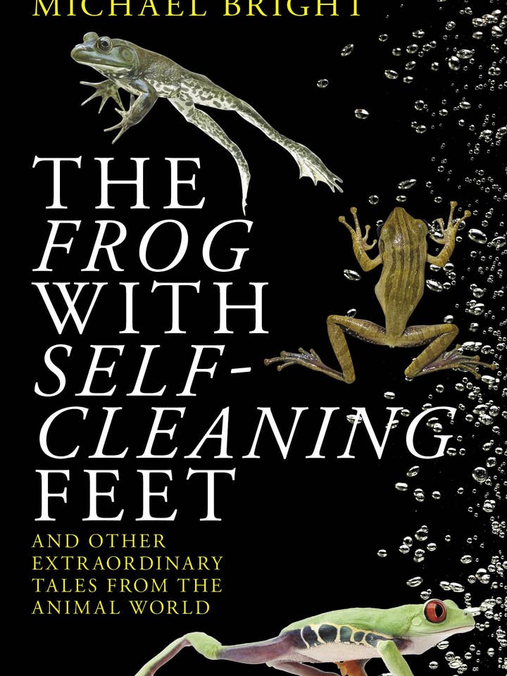 The Frog With Self-cleaning Feet: Extraordinary Animal Tales for wholesale by Boon Books