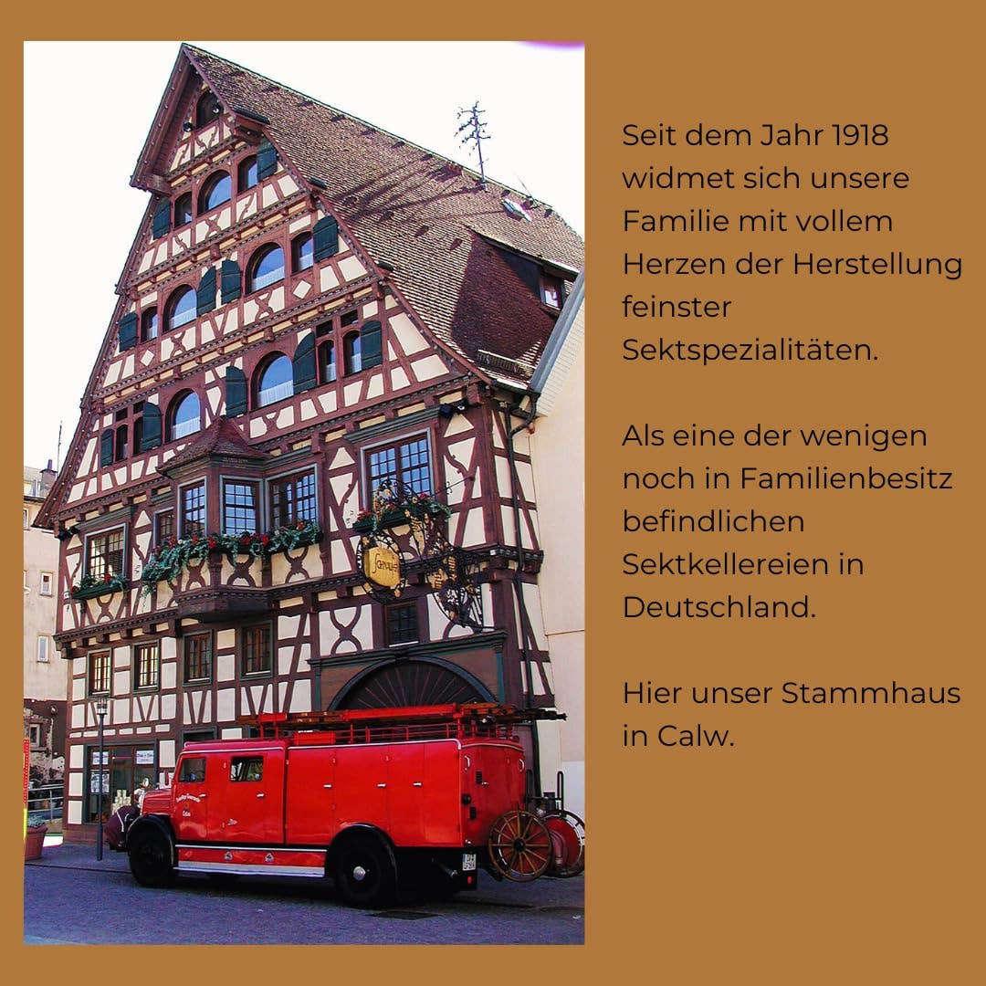 Justbe modern wine drinks - Wholesale Champagne/Sparkling Wine - Schnaufer Chardonnay Brut - German Sparkling Wine5