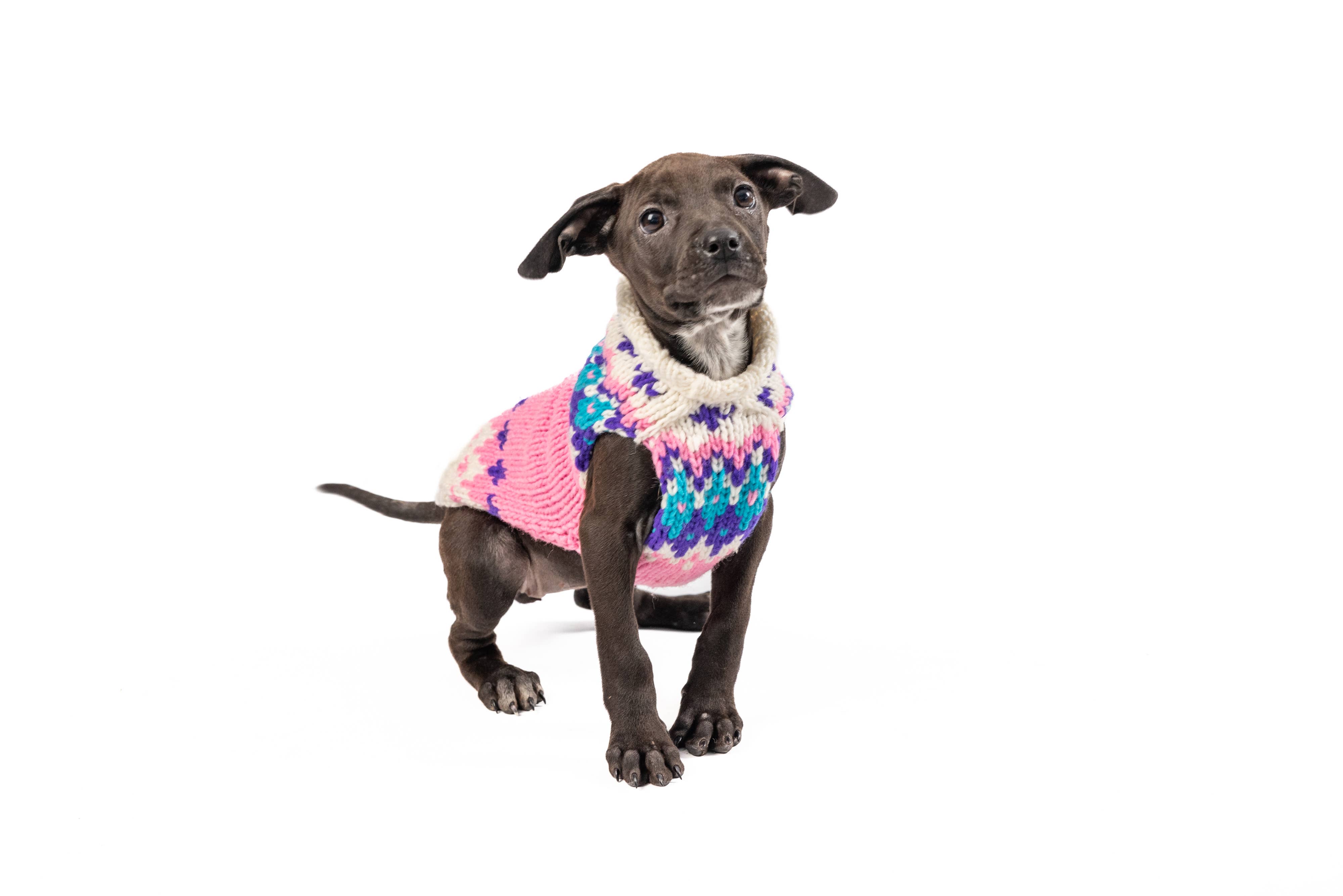 CHILLY DOG LLC - Wholesale Pet Sweater - Dog - Pink Ski Bum Sweater5