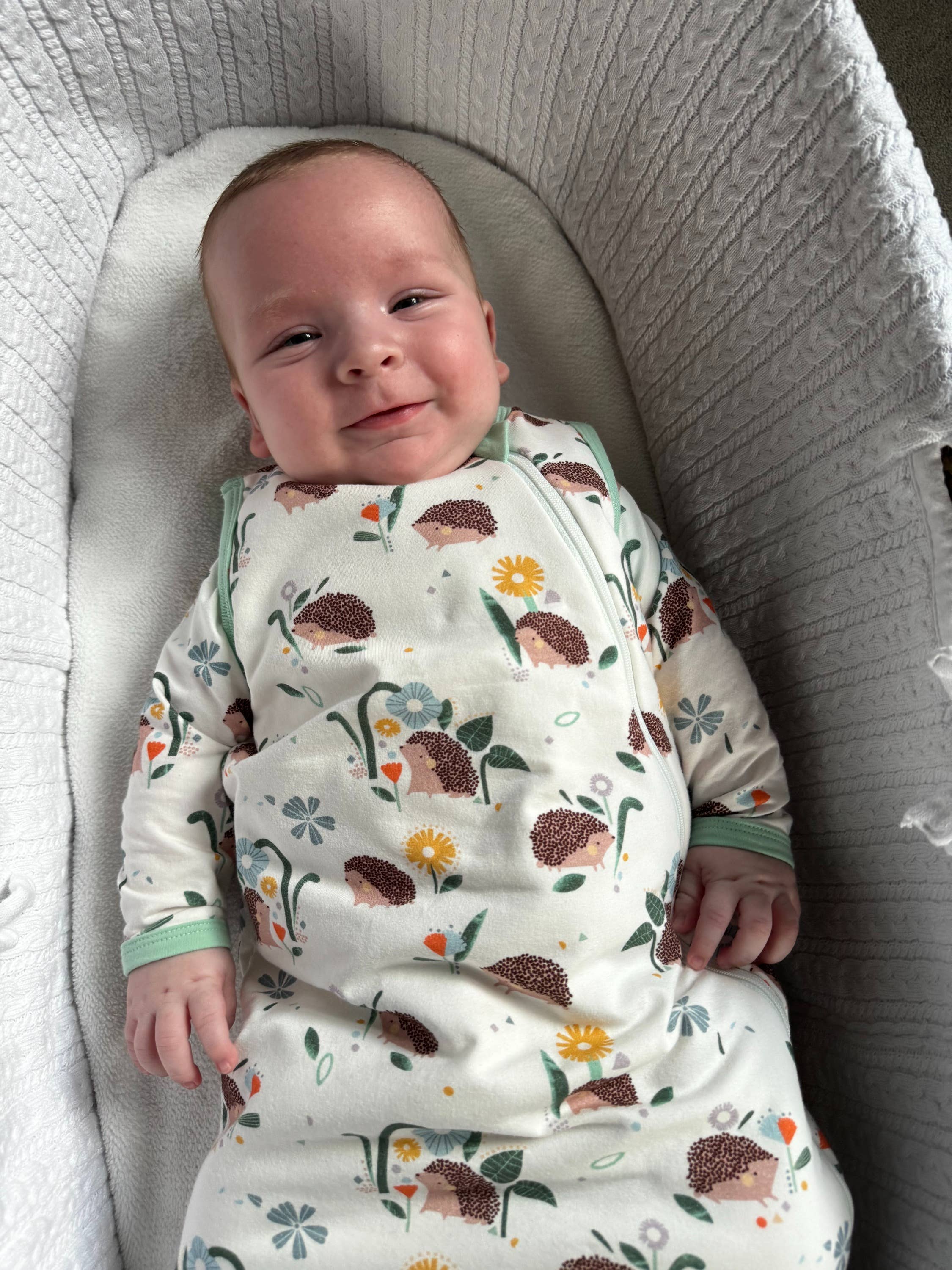 Sleeping Stars - Wholesale Sleepsuit - Baby - Hedgehog Toddler Sleeping Suit6