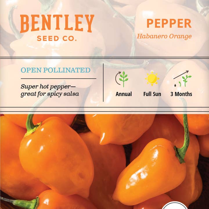 Bentley Seed Co. - Wholesale Plant Seeds - Pepper, Habanero Orange Seed Packets