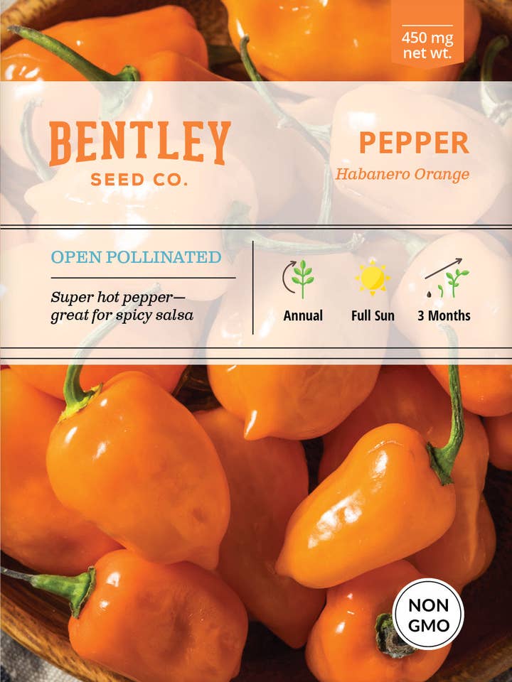 Pepper, Habanero Orange Seed Packets for wholesale by Bentley Seed Co.