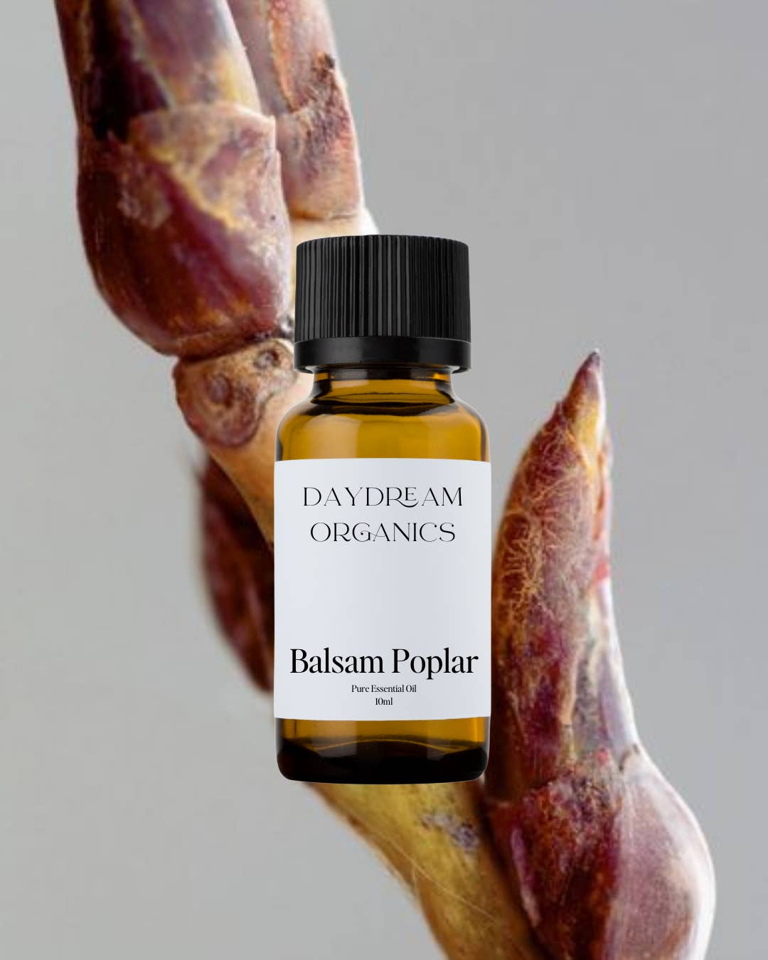 Daydream Organics | Prairie Doctor Brand - Wholesale Essential Oil - Balsam Poplar Essential Oil