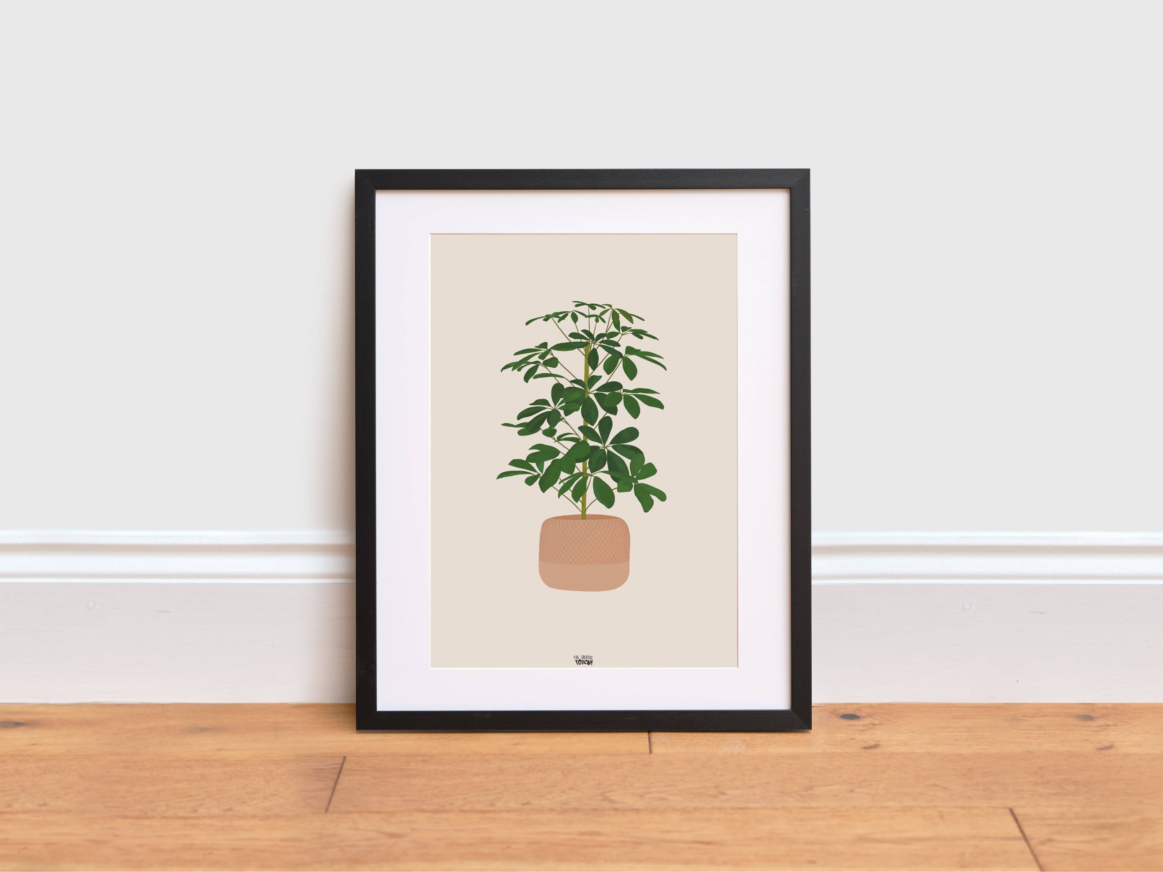 The Creative Toucan ltd - Wholesale Art Print - Schefflera Plant Print