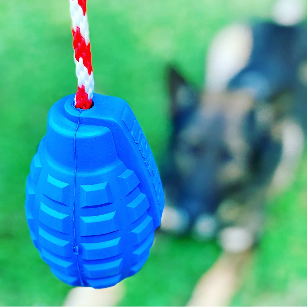 SodaPup Dog Toys – Großhandel Haustier-Kauspielzeug – Hund – USA-K9 Grenade - Kauspielzeug - Belohnungsspielzeug - Blau7