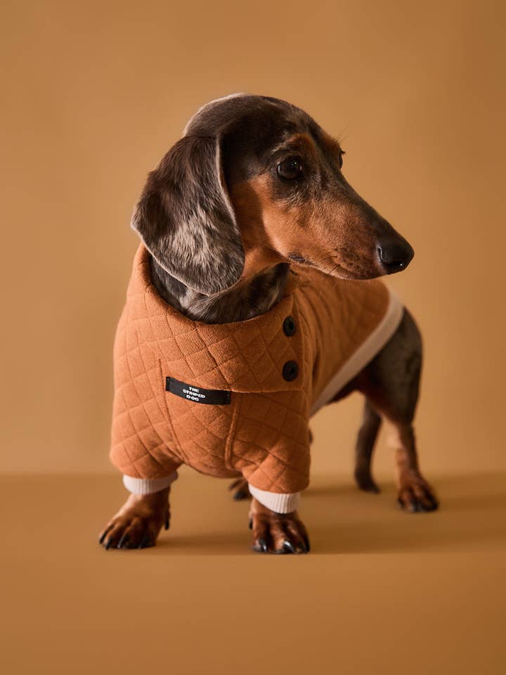 Gesteppter Rollkragenpullover mit Dackelmotiv aus Terrakotta BAGUETTE für den Großhandel von The Striped Dog