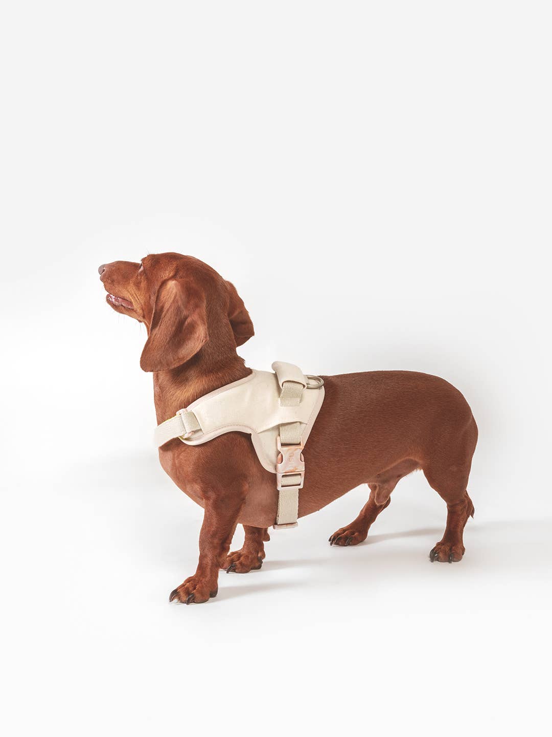 Qisu - Wholesale Pet Harness - Dog - Dog harness | Hug Harness11