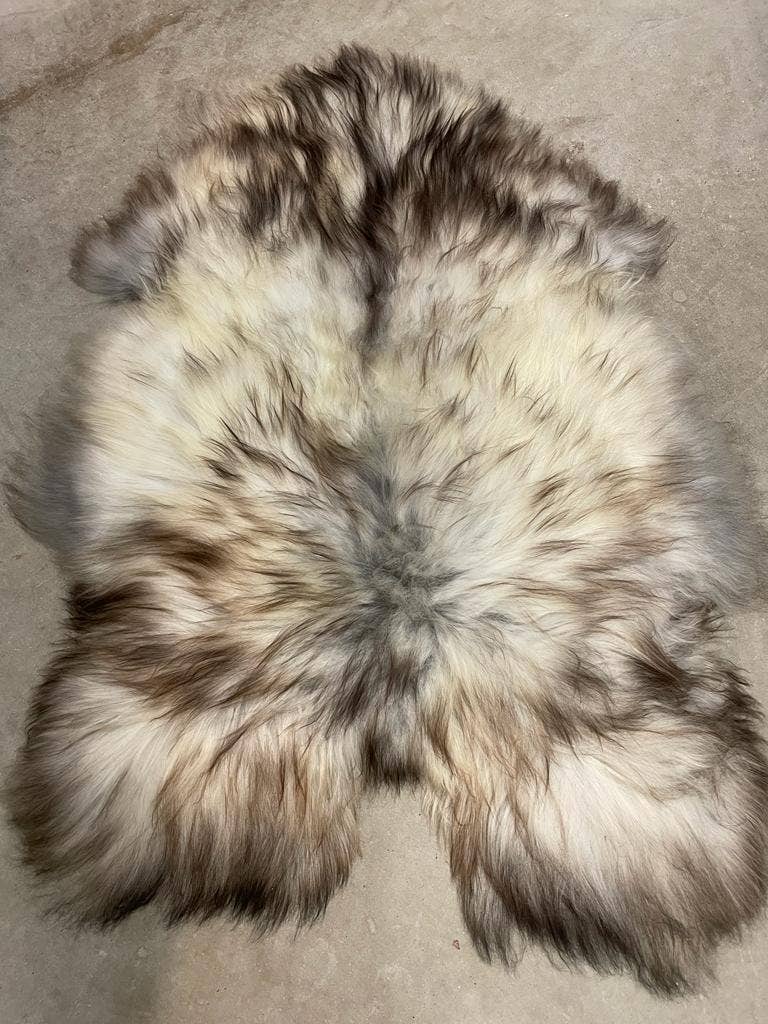 WeeSkins Holland – Engroshandel Løst tæppe – Islandsk lammeskind, stilfuldt og krøllet2