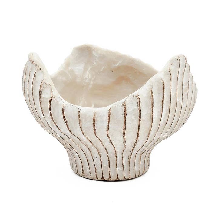 A&B Home Group Inc. - Wholesale Plant Pot - 7.5x7.3x5.5" Sand and Cement Clam Shell Planter Beige1