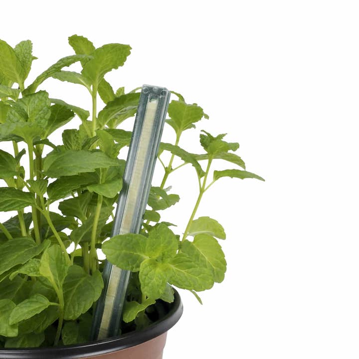 JARDIN Y NATURA OUTDOOR & GARDEN PRODUCTS SL - Venta al por mayor Macetas - Macetas de cultivo Ø9cm (8u) - GROWPOT S2