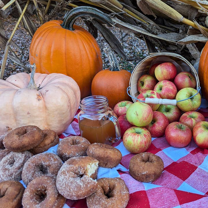 MI Fall Harvest - 500 Piece Jigsaw Puzzle for wholesale by So Puzzled Puzzle Company