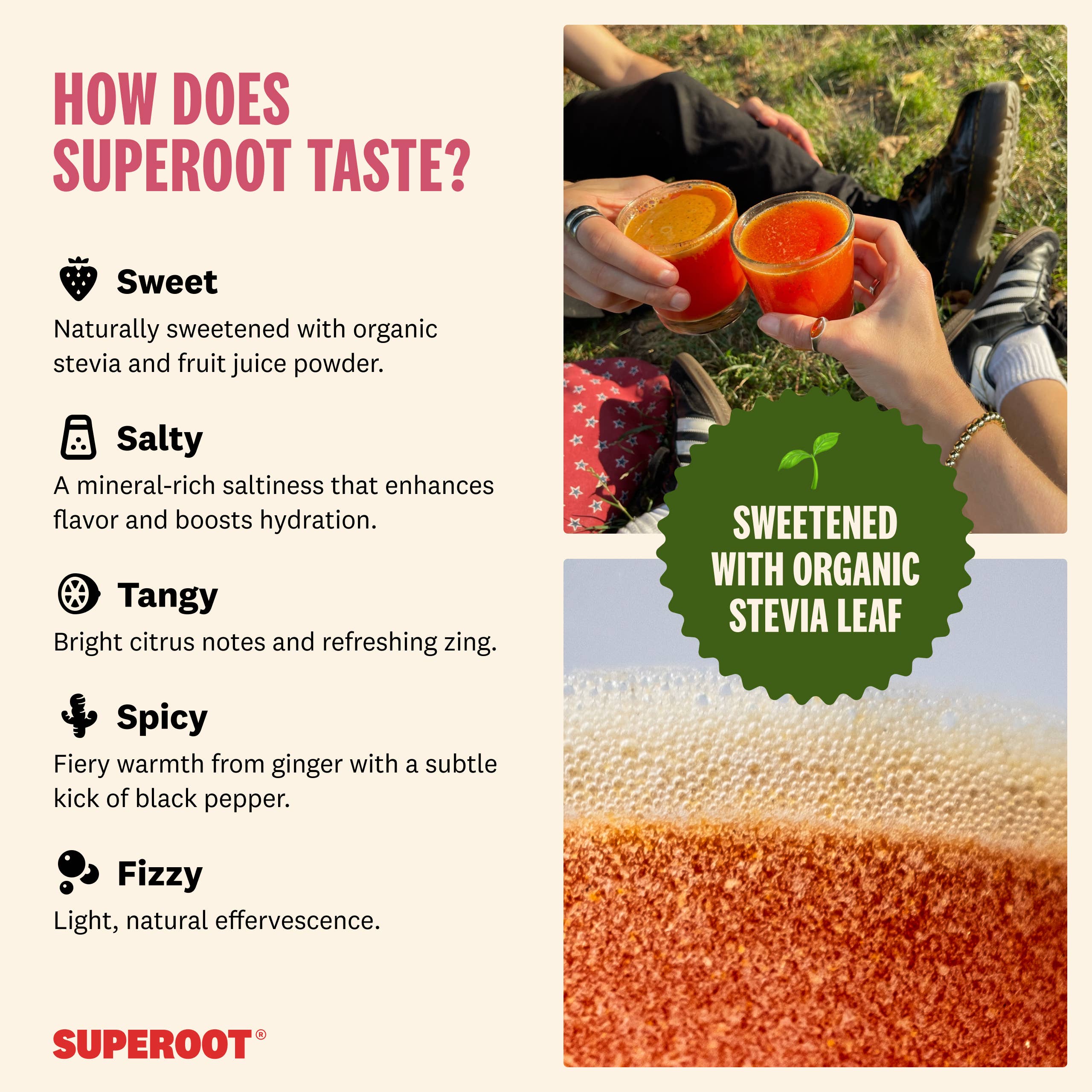Superoot - Wholesale Powdered Health Drink - Immunity & Hydration Superfood Mix - Peach | 12 count3