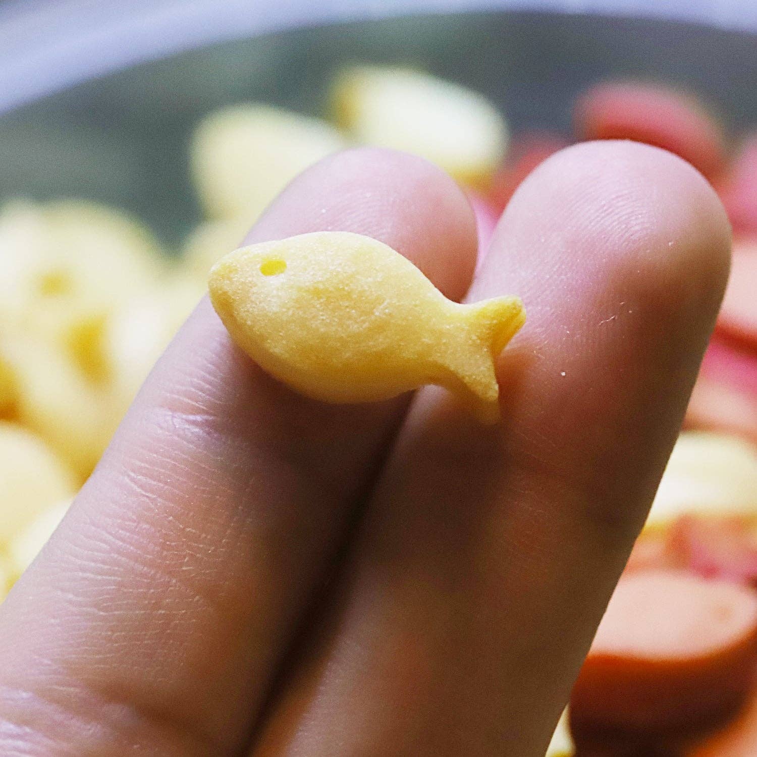 Collory - Wholesale Voedermat - Hond - Visvormige bakmatten voor hondenkoekjes (mini en medium)19