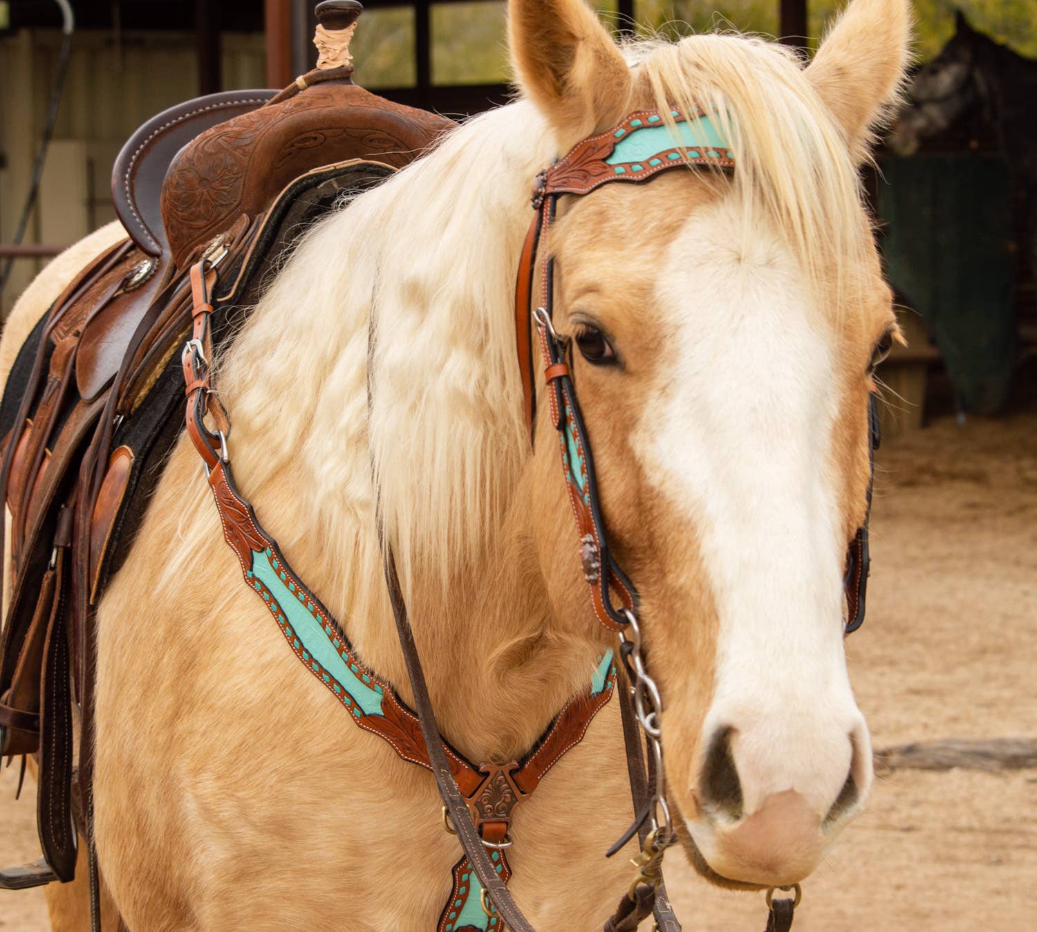 Schulz Equine - Wholesale Horseback Riding Gear - Bonanza Headstall and Breast Collar Set