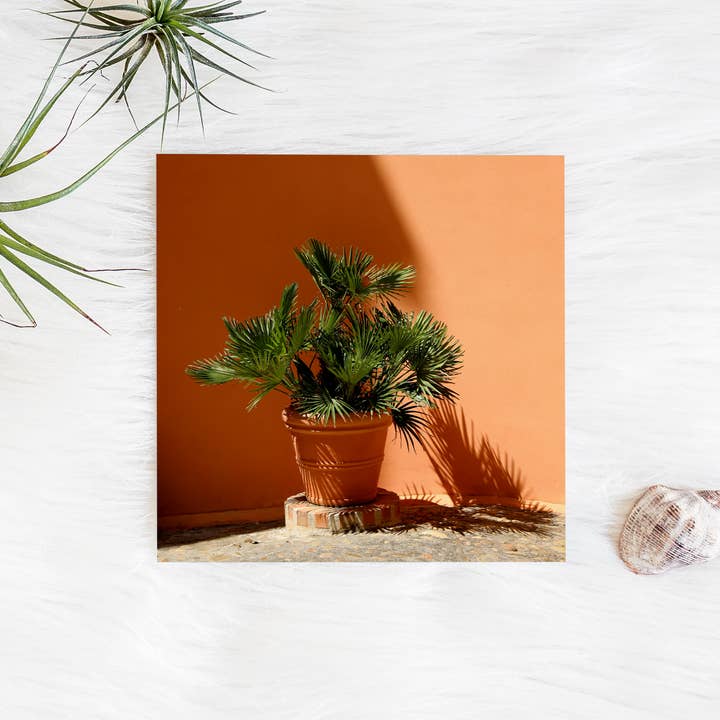 Veni Etiam Photography - Wholesale Art Print - Palm Tree Minimalist Art Print4