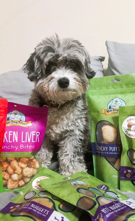 Yeti Dog Chew - Wholesale Pet Treats - Dog - Yeti Chicken Liver Crunchy Bites Himalayan Yak Cheese Dog Tr4