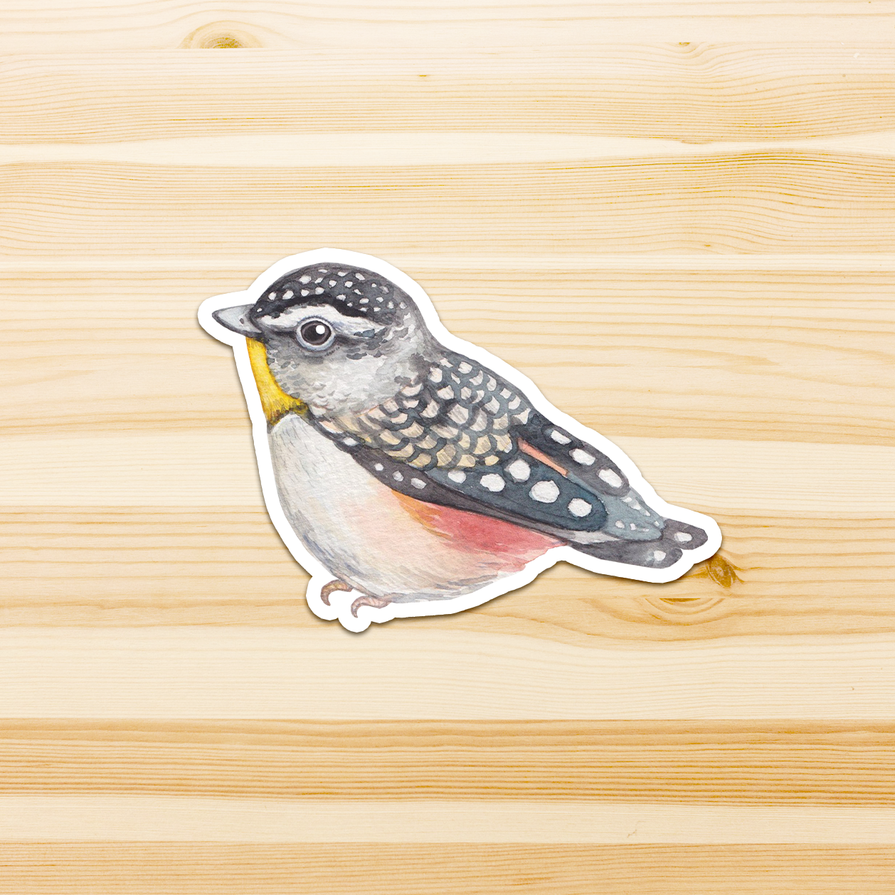 Watercolour By Cat - Vendita all'ingrosso Adesivo - Adesivo in vinile con grande uccello australiano9