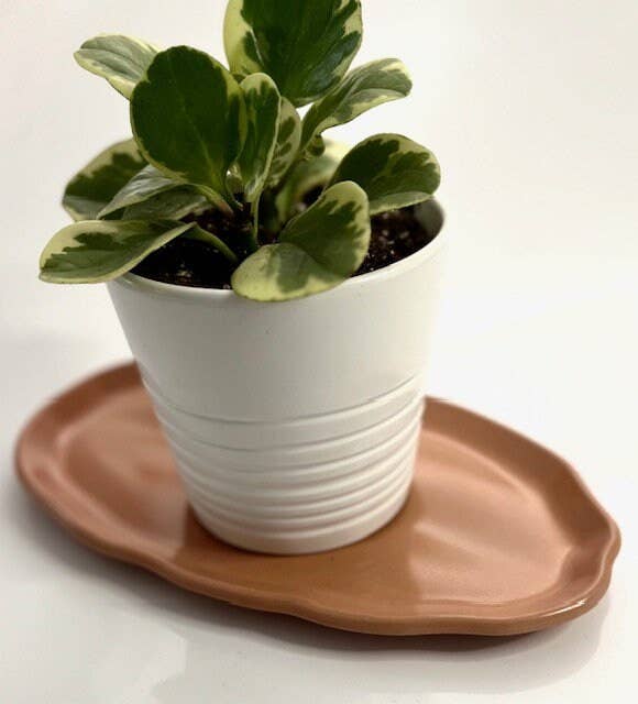 Lymeliteco – Engroshandel Pyntebakke – Stor betonbakke | Dekorativ bakke | Betondesign2