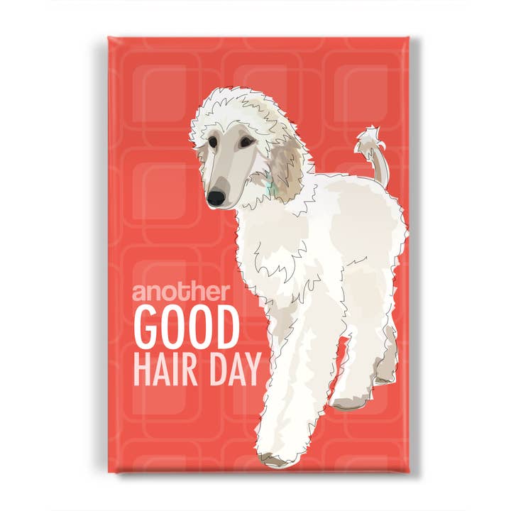 Afghan Hound Dog Magnet - Another Good Hair Day for wholesale by Pop Doggie