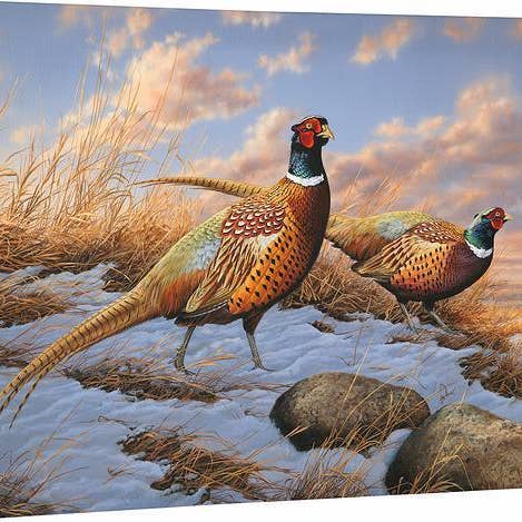 Standing Ground—Pheasants - 19" x 24" Gallery Wrapped Canvas for wholesale by Art Brand Studios