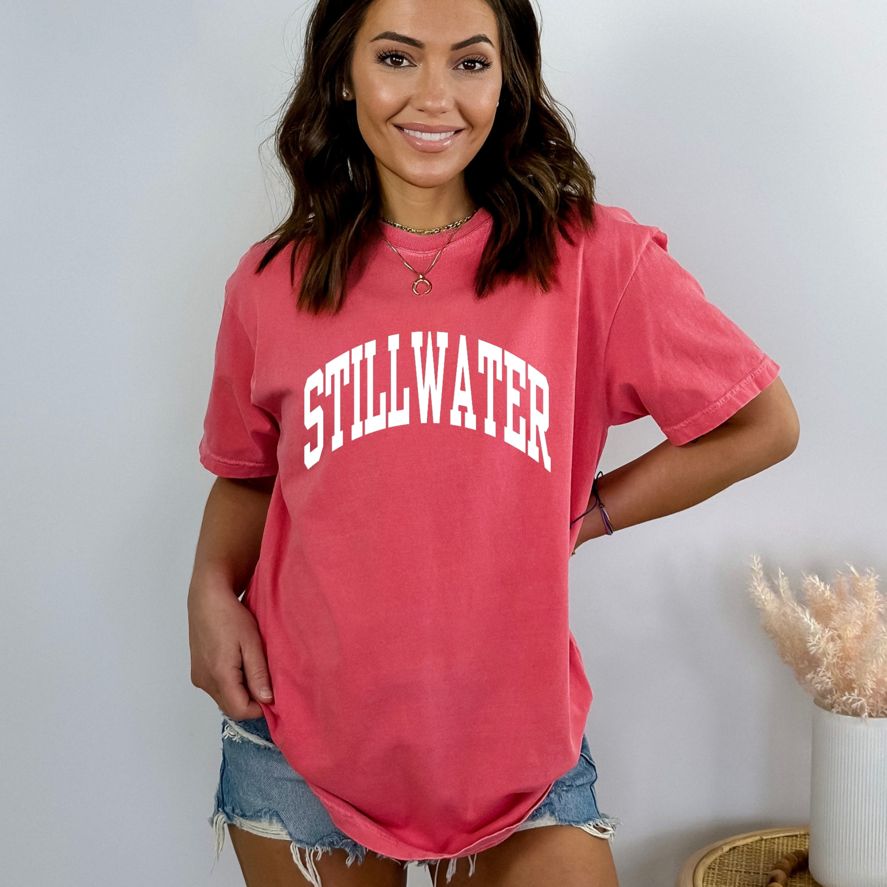 Faith & Life Christian Brands – Engroshandel T-shirt med print - Dame – Custom City Comfort Farver Heavyweight Hometown T-shirt12