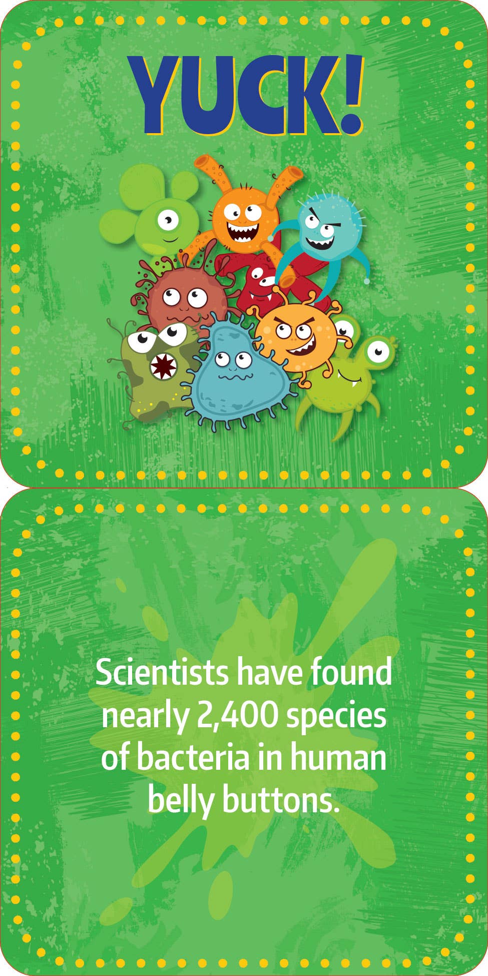 Peter Pauper Press - Wholesale Learning Cards - Kids & Baby - Gross Facts Lunch Box Notes for Kids!2